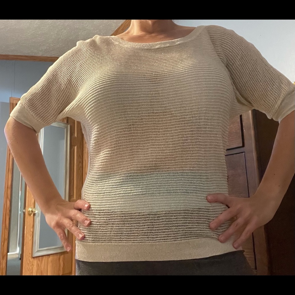Ana See Through Dress Shirt